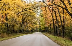 Scenic road surrounded by vibrant autumn foliage, showcasing orange and yellow leaves in a rural setting, relevant to Pure Broadband MI's focus on serving rural communities.